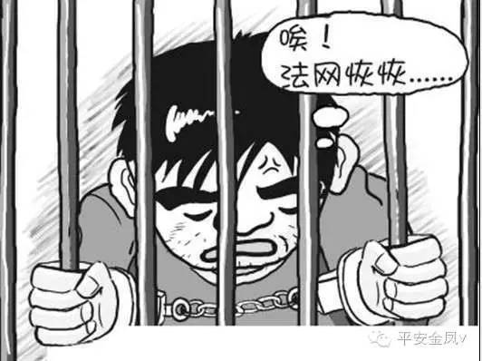 金凤警方破获盗窃案,金凤网络传销案