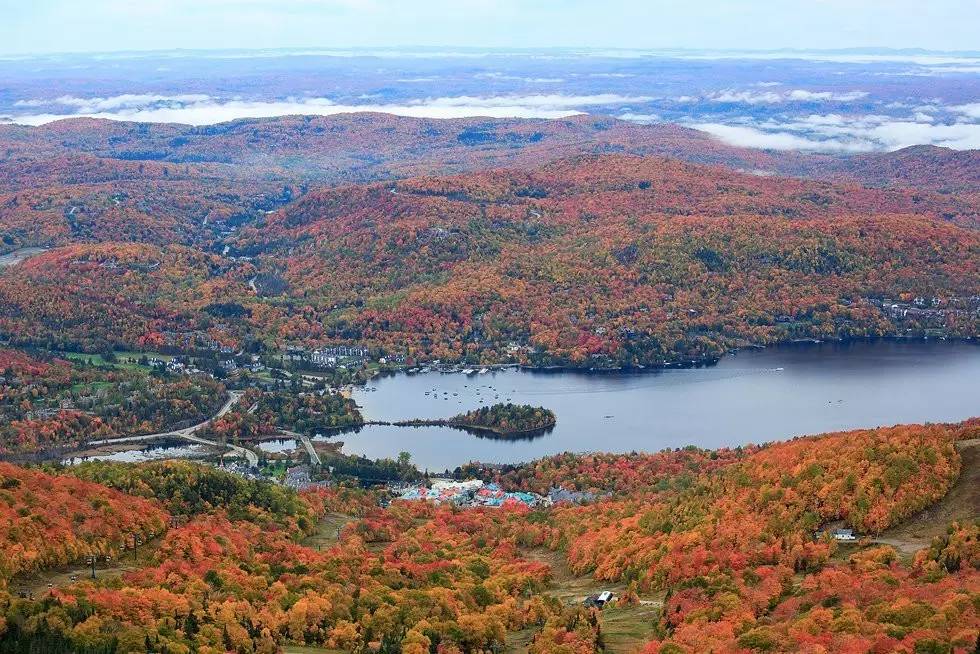晒枫叶朋友圈,深秋赏枫胜地