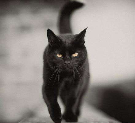 榛戝柕杩囩▼閲嶈杩樻槸缁撴灉閲嶈,榛戝柕浠ュ悗杩橀渶涓嶉渶瑕侀伩瀚屼簡