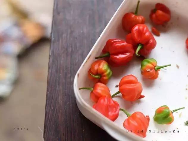 airbnb住宿详细攻略,airbnb和马蜂窝