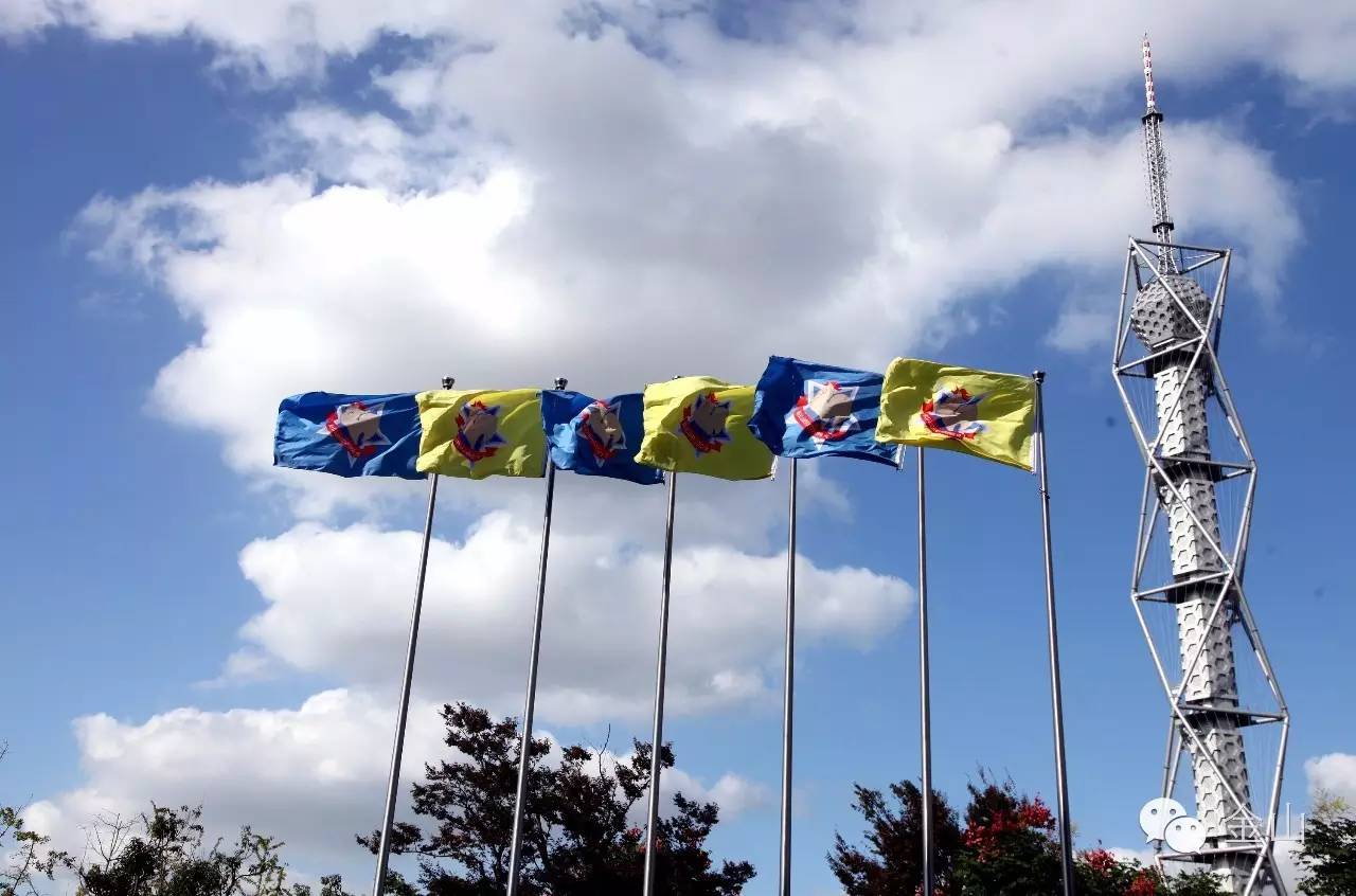 上海申鑫金山体育场,申鑫金山体育