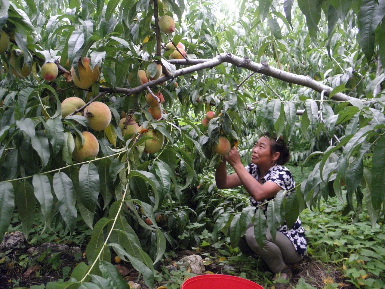 安徽滁州10大最美乡村,滁州第二批美丽乡村名单