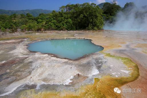 曼特宁和摩卡咖啡区别,鲜咖啡和曼特宁区别