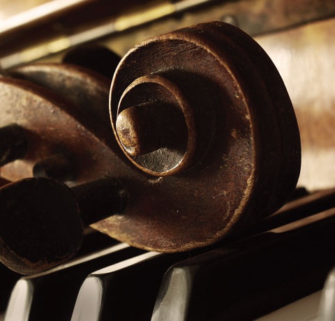 光棍节活动上海,光棍节的狂欢