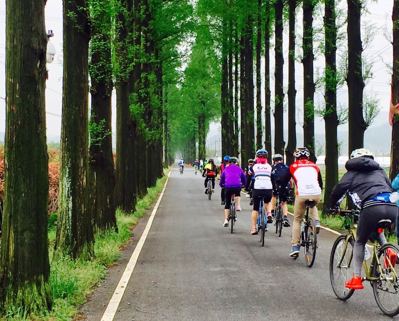 漫山蓝莓田、黑松林之间，这100户人家的乌托邦，邀你来做“后天亲人”