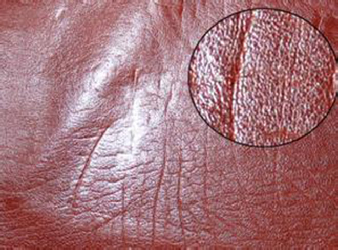 汽车真皮和仿真皮的区别,仿真皮和真皮区别