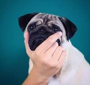 光棍节想脱单的话语,光棍节的脱单语录