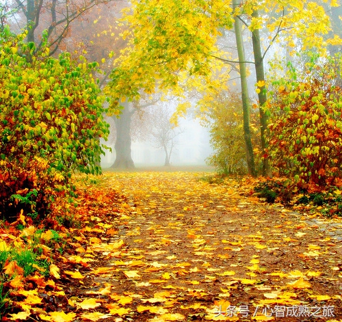 小二，来一碗毒鸡汤（你敢喝吗？）