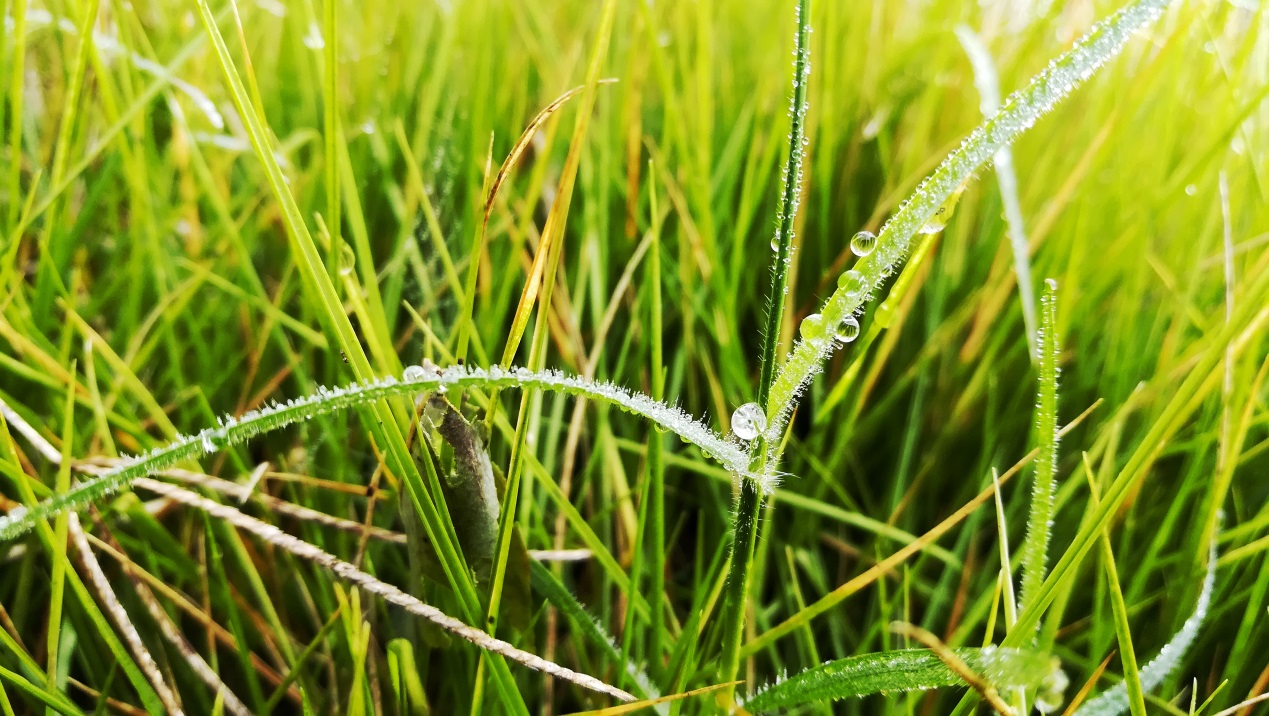 荣耀畅玩6x和荣耀6x有什么区别,荣耀畅玩6x评测