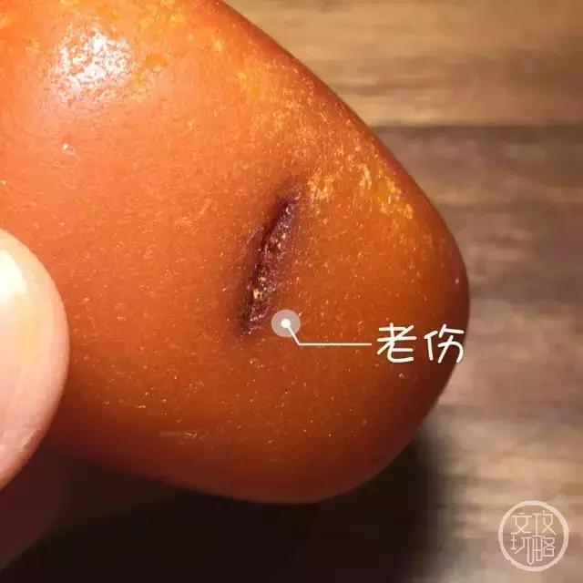 老蜡有什么缺点,老蜡有灵性吗