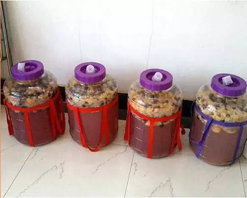 自己制作食用酵素的方法,酵素迷教做食用酵素是真是假