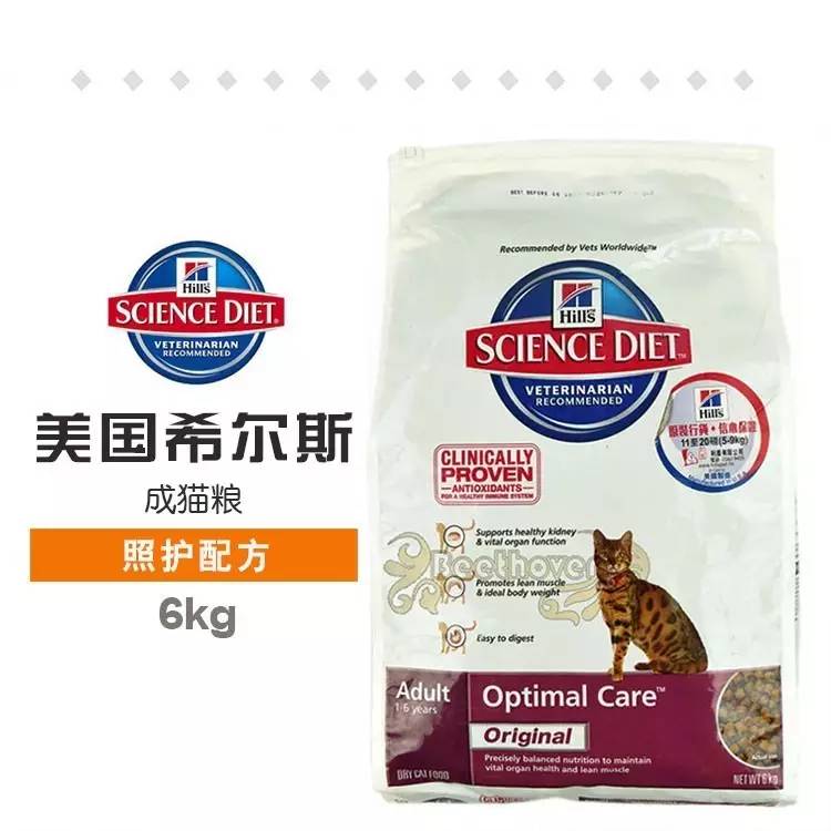 猫粮大盘点,幼猫猫粮适合多大的猫咪吃