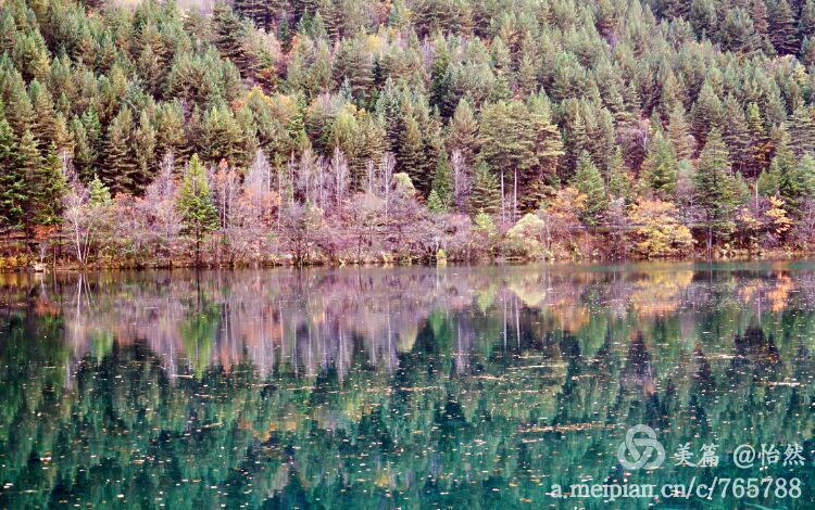 九寨沟让人失语的美丽童话世界,九寨沟有没有童话世界的景点