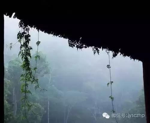 写给母亲的千古情,写给母亲的百封家书