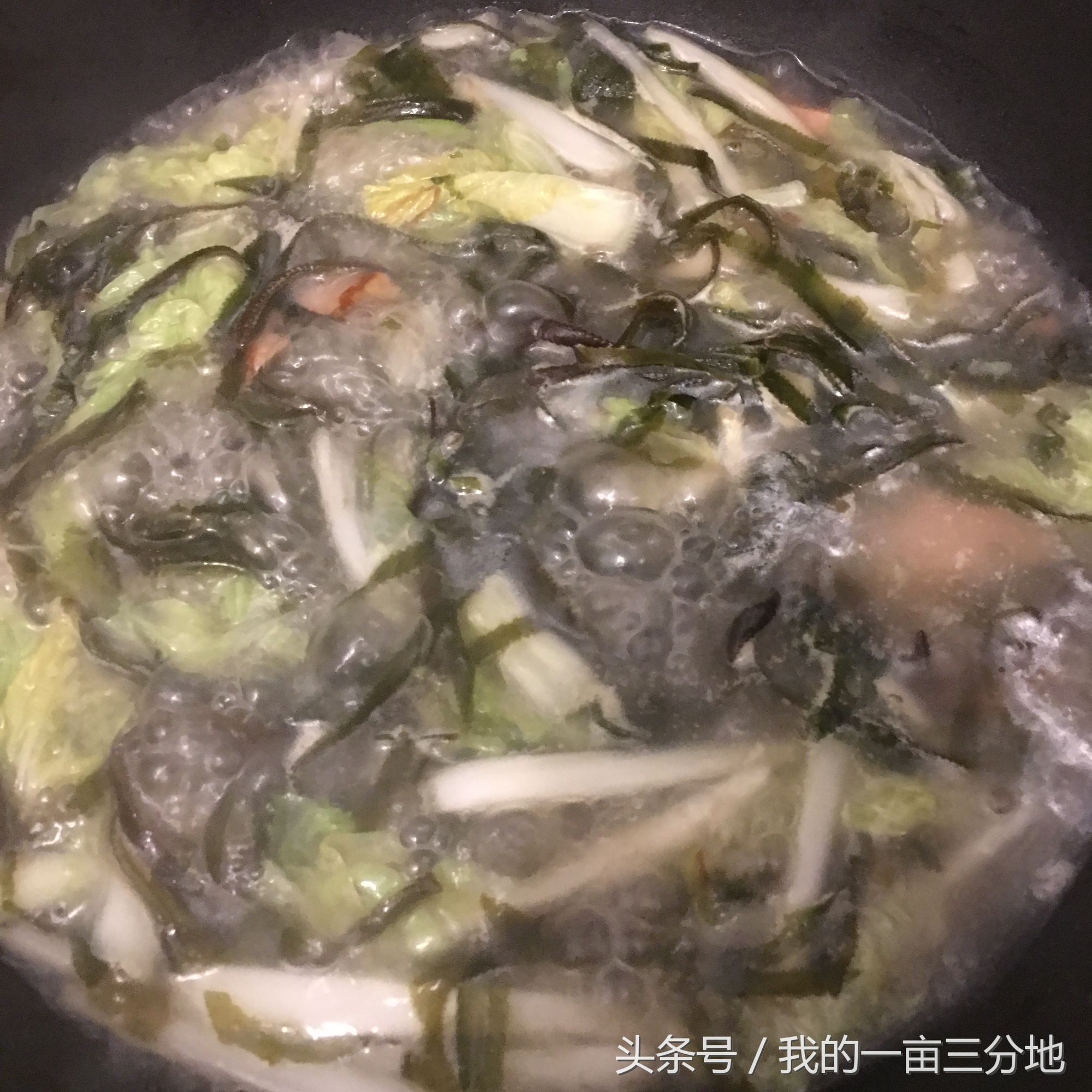 豆腐海带白菜汤的做法大全,海带金针菇白菜汤的做法大全