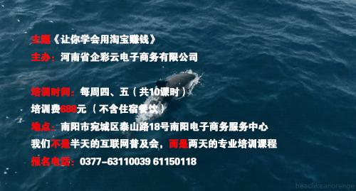 做一个淘宝店主,做一名店长的条件