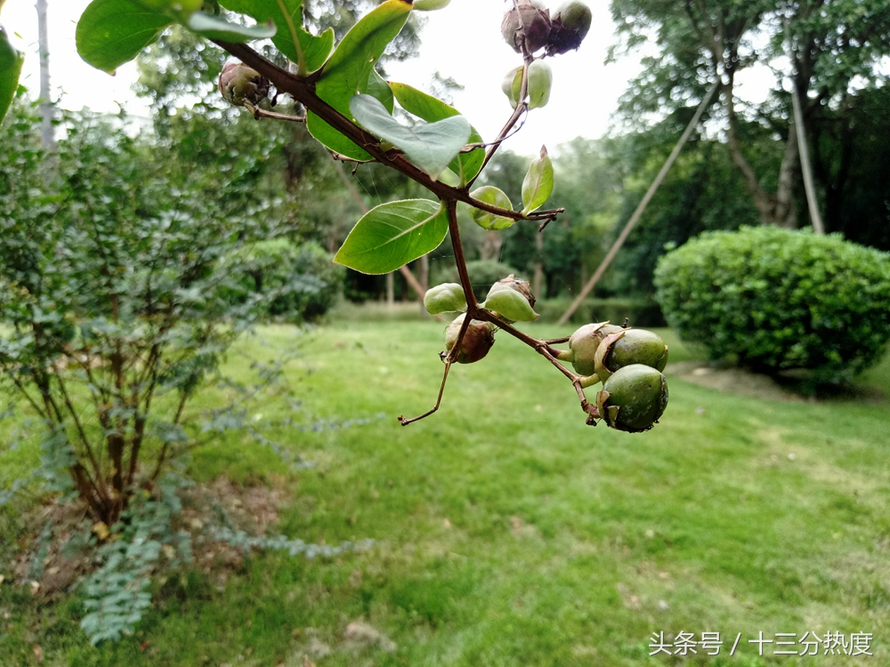 魅蓝手机u20深度评测,以前的iphone4s