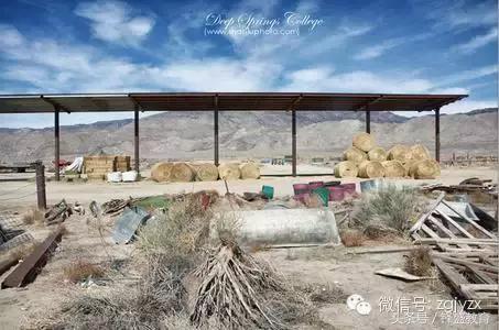 比哈佛还难进的大学——深泉学院(家长们都来学习一下吧)