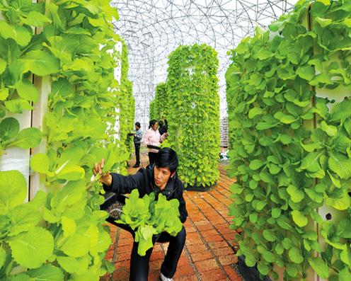 现在农村小白创业干什么最好,要想在农村混得好下一句