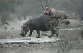 为啥女人脚穿高跟鞋都那么窄,腿较短的女性不应该穿高跟鞋