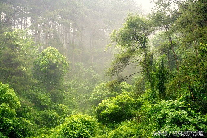 逃离城市寻找生活,远离城市的喧嚣寻找心灵的净土