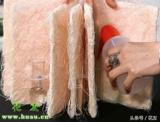 插花花艺制作过程学习,多种风格插花教程