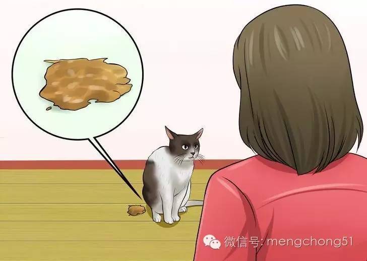 猫咪拉肚子应该怎么办,猫咪拉肚子怎么治疗