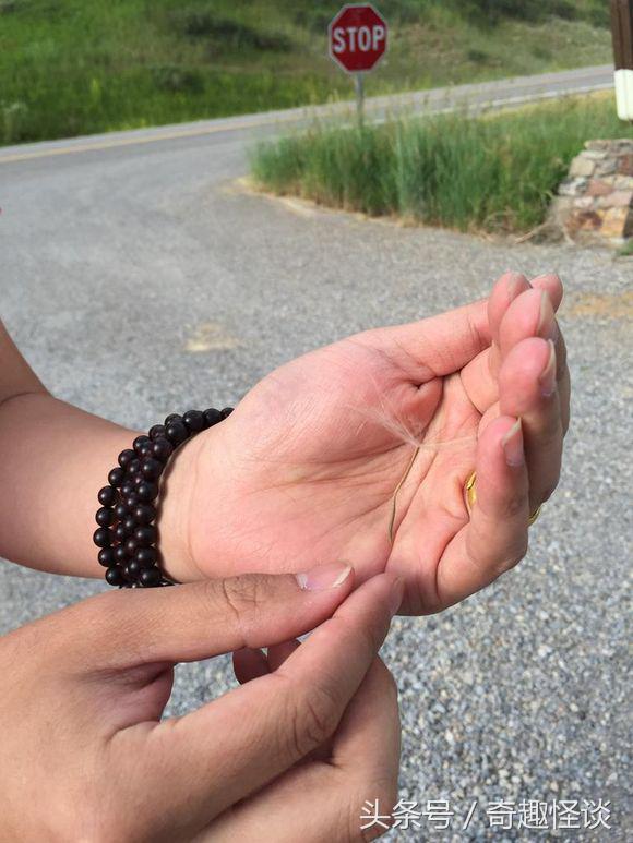 在美国旅游日常,在美国旅游攻略大全最新