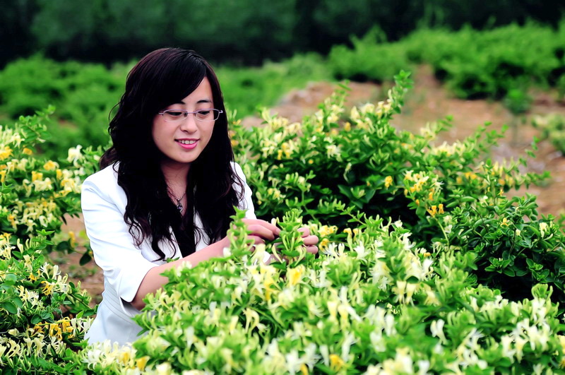阳台种花草很麻烦,阳台种花草长茂盛了