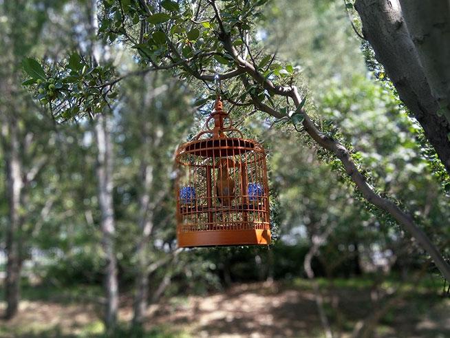 哪套三国杀比较好,平民玩家最好的阵容三国杀