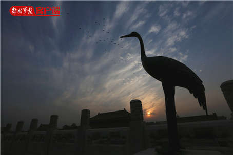 端端带你探秘紫禁卫士之最