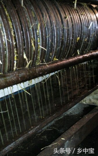 古老压榨山茶油,纯天然古法手工压榨山茶油