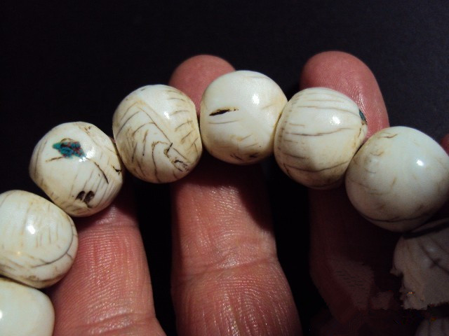 砗磲的基本知识,正确保养砗磲的方法