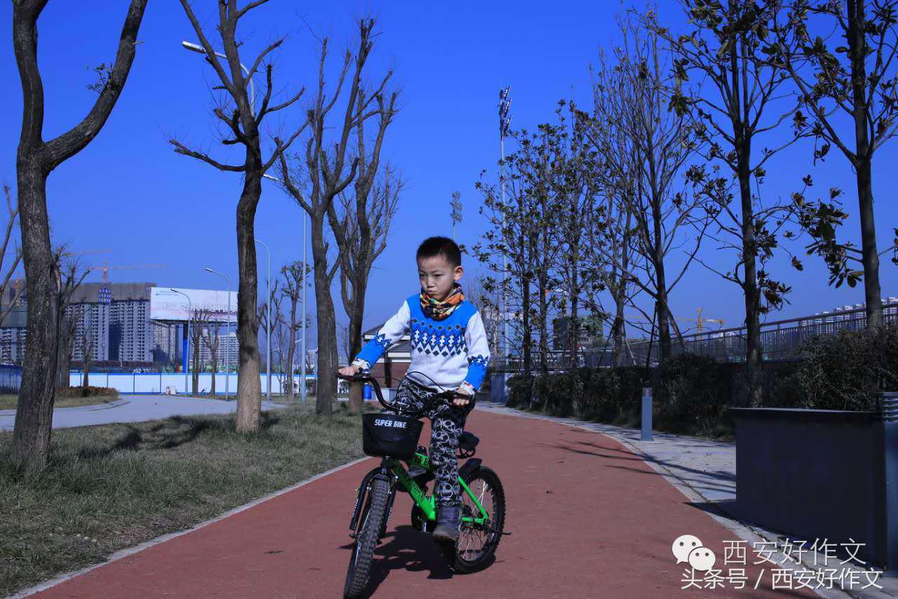 唐苑秋日落英缤纷一张旧照饱含亲情,听娃讲作文
