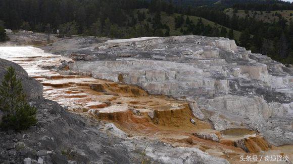 在美国旅游视频教学,美国自由行自驾游