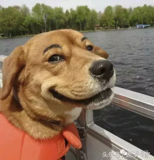 治疗灰指甲的偏方,有没有治灰指甲小妙招