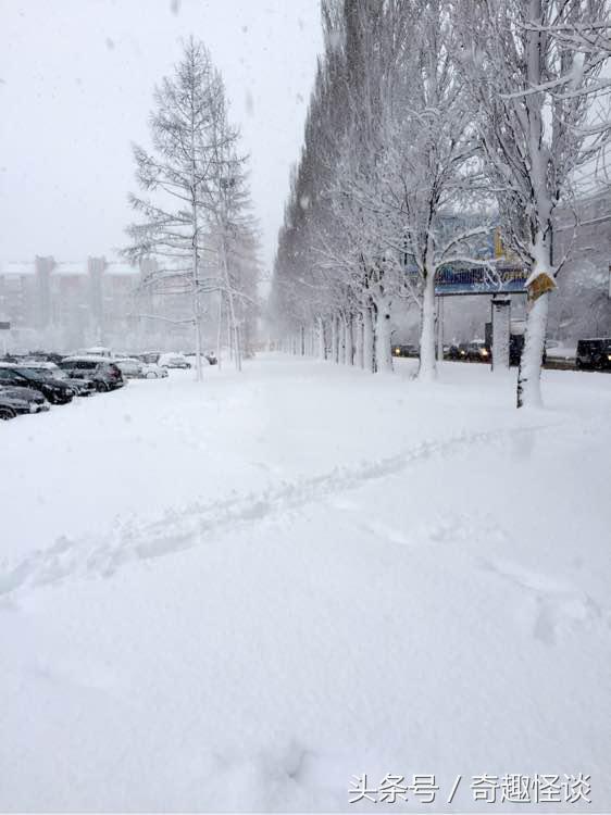 俄罗斯留学生涯,俄罗斯留学一年多少钱