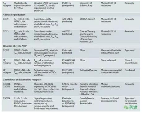 哪些肿瘤可以分子靶向治疗,肿瘤免疫治疗研究热点