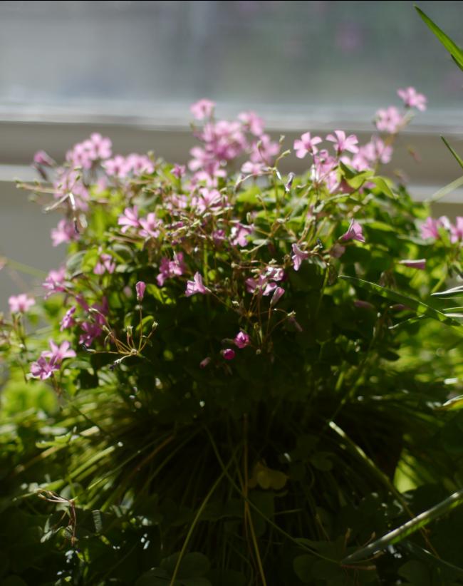 非专业人士推荐相机,非专业相机推荐拍风景