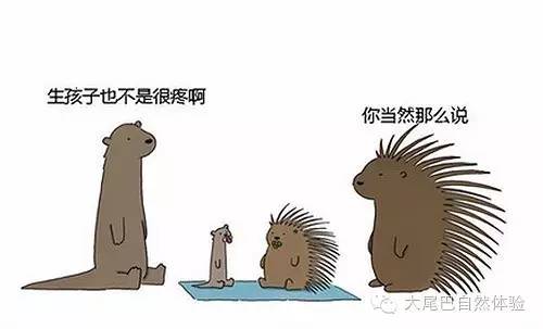 每天一种水果介绍山竹,每天一个水果是什么体验