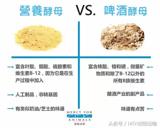 酵母的营养价值及功效与作用,营养酵母是啥