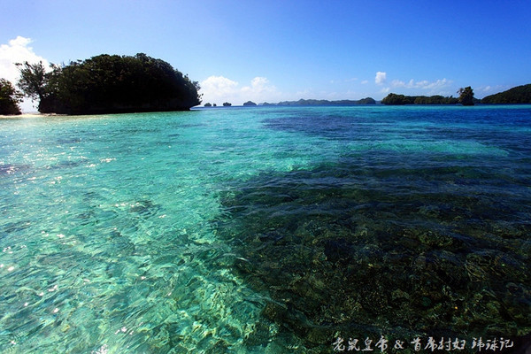 彩虹王国美术作品,彩虹王国紫色