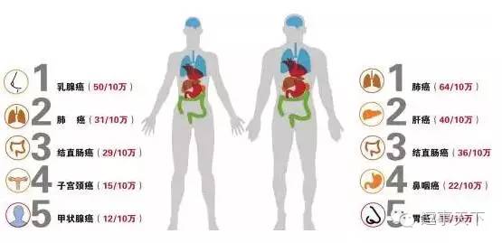 医生都知道的预防癌症5大秘诀,预防癌症减少人生意外