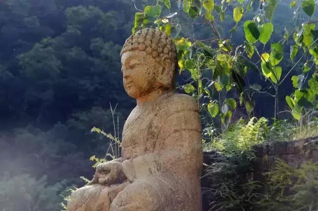 想在佛冈嗨翻天?这条路线一定让你热血沸腾!