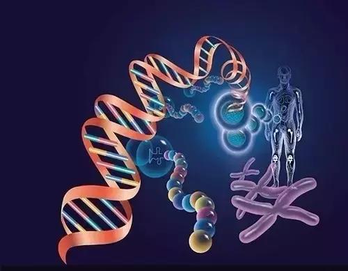 小腿赘肉如何变细腿,腿部塑形紧致小腿