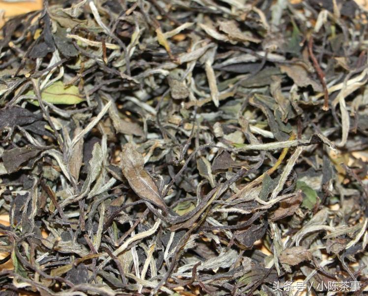 白茶和什么搭配养肝护肝,白茶和红茶哪个护肝更好