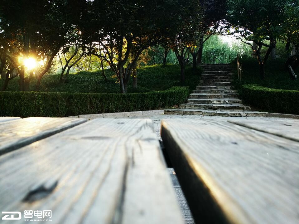 oppor9s柔光摄像头价格,oppor9s清新绿开箱视频