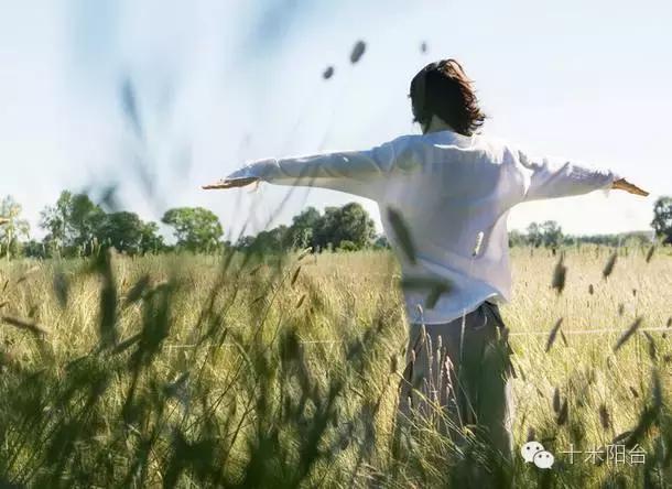 timeofourlives歌词德语,timeofourlife钢琴谱