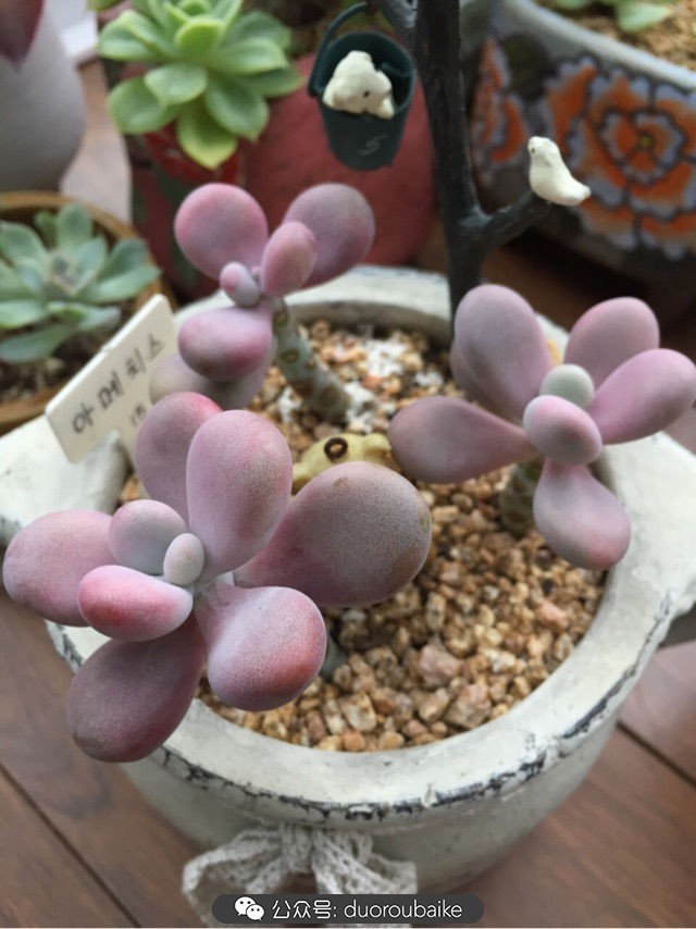 谈谈我对自己的看法,谈谈我对恋爱的看法