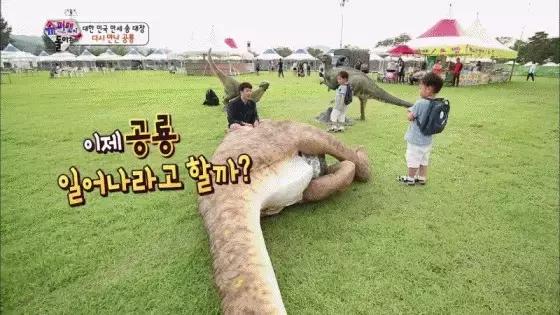 限韩令限制别的国家吗,限韩令让韩流走向世界